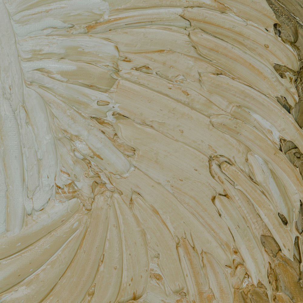 a close up of a painting with a white background