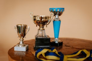 a group of trophies sitting on top of a wooden table