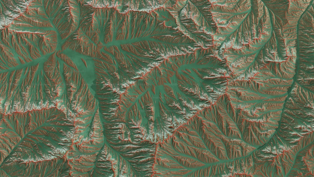 a satellite image of a mountain range