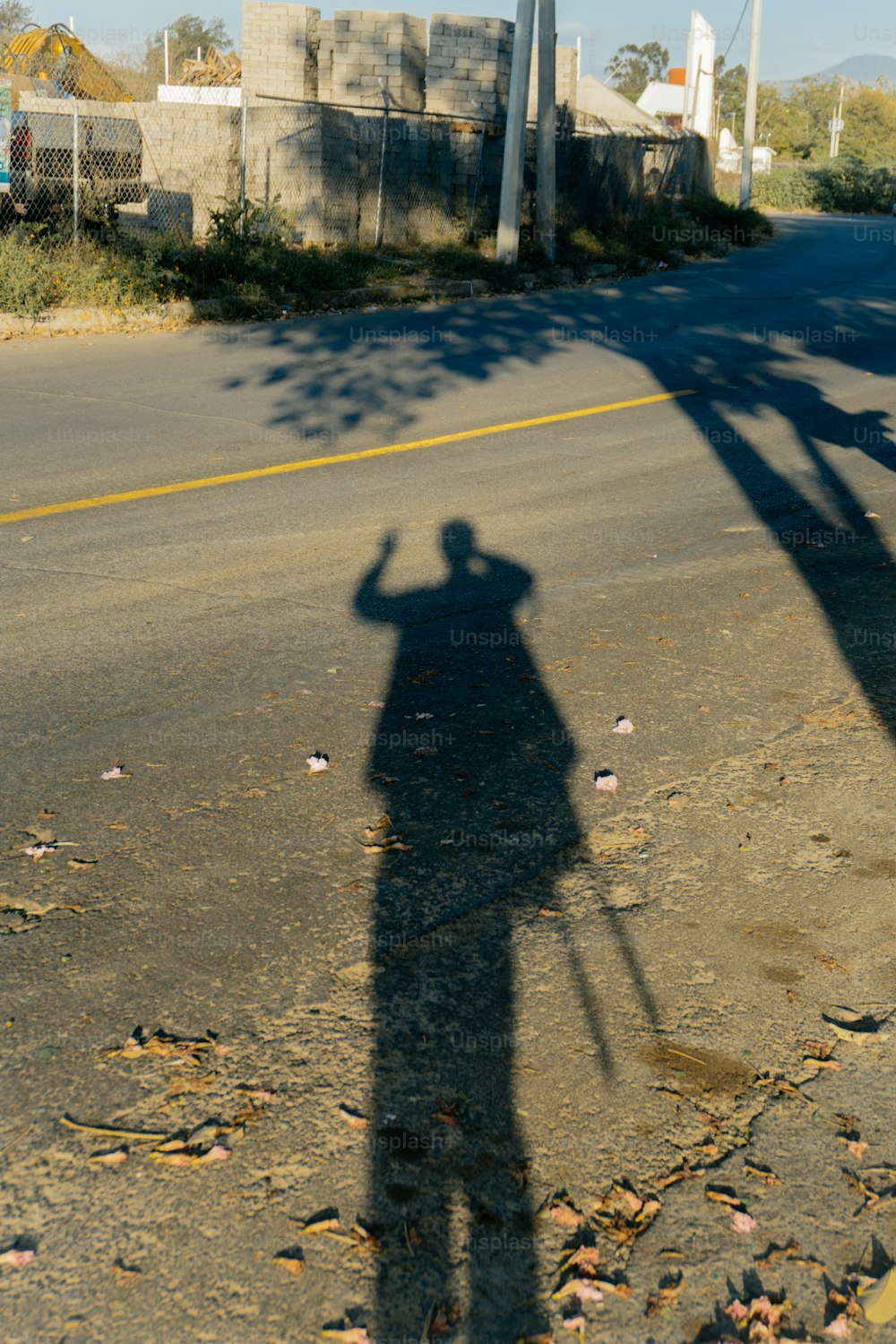 l'ombra di una persona che tiene in mano uno skateboard