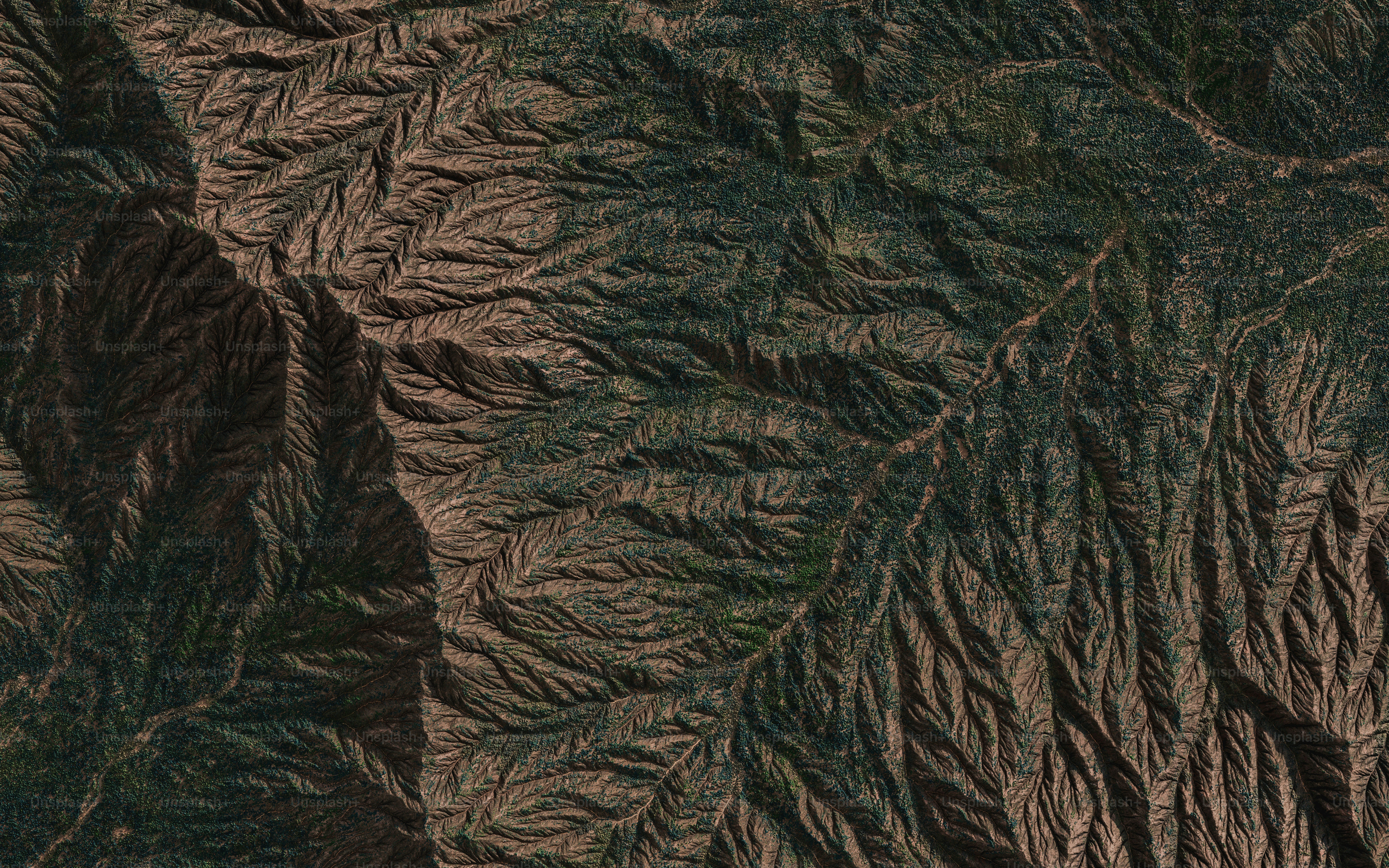 an aerial view of a mountain range with trees