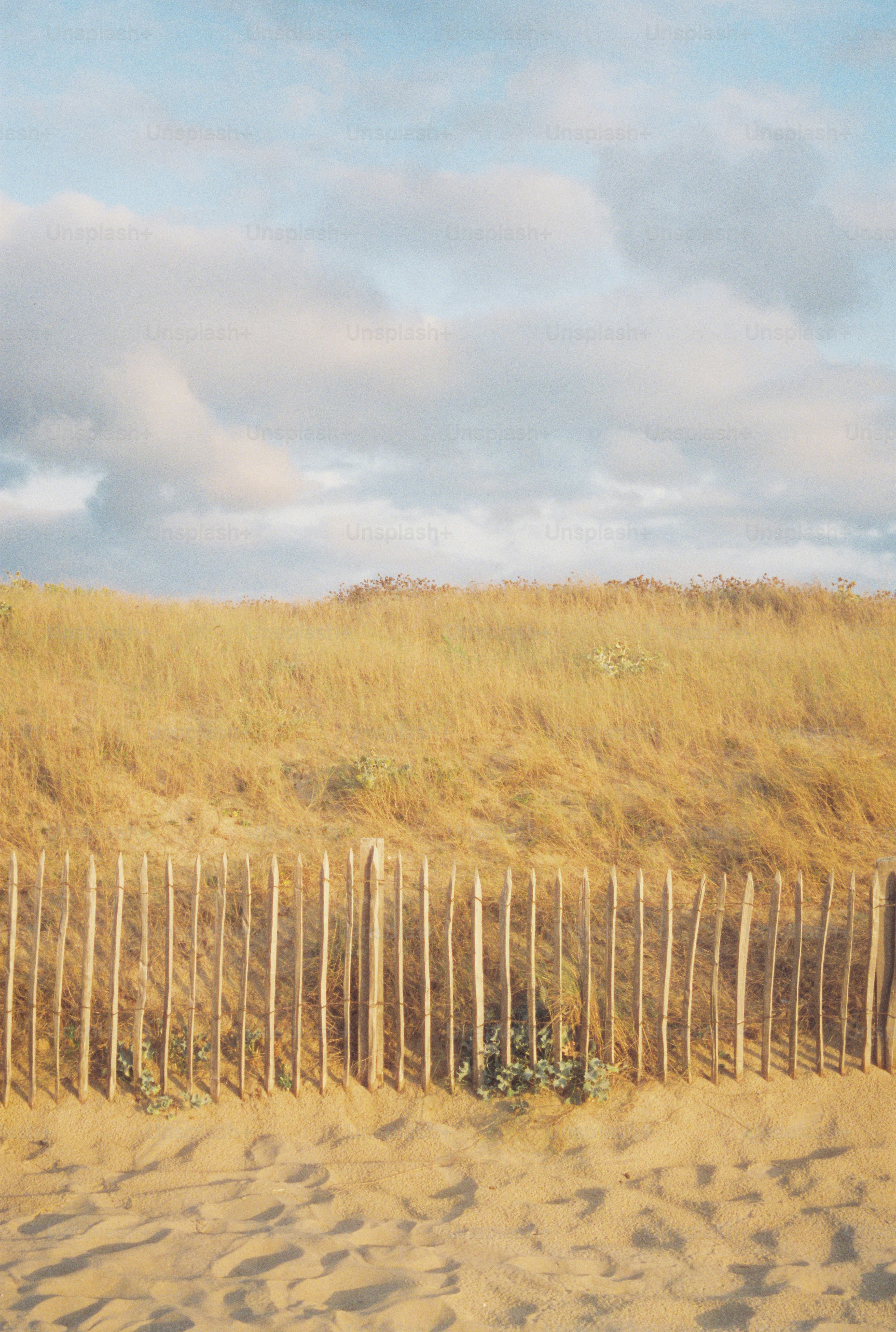 a horse standing in the sand behind a wooden fence