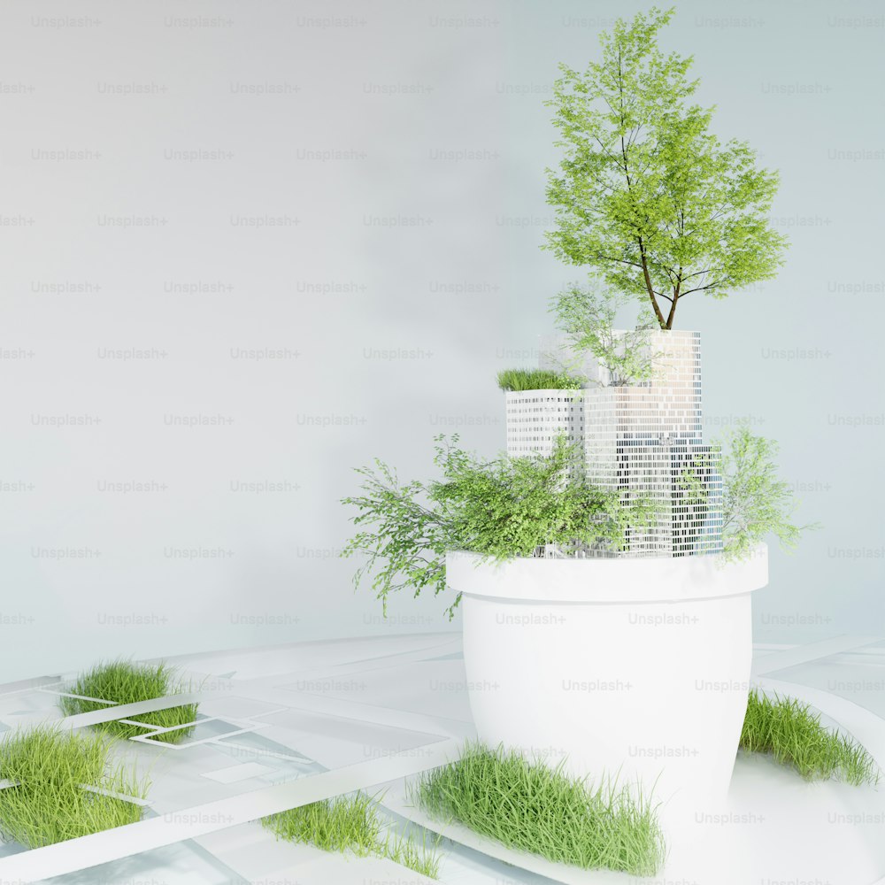a white planter with a green tree in it