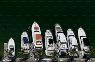 Un grupo de botes estacionados uno al lado del otro