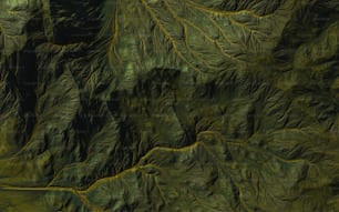 a satellite image of a green mountain range