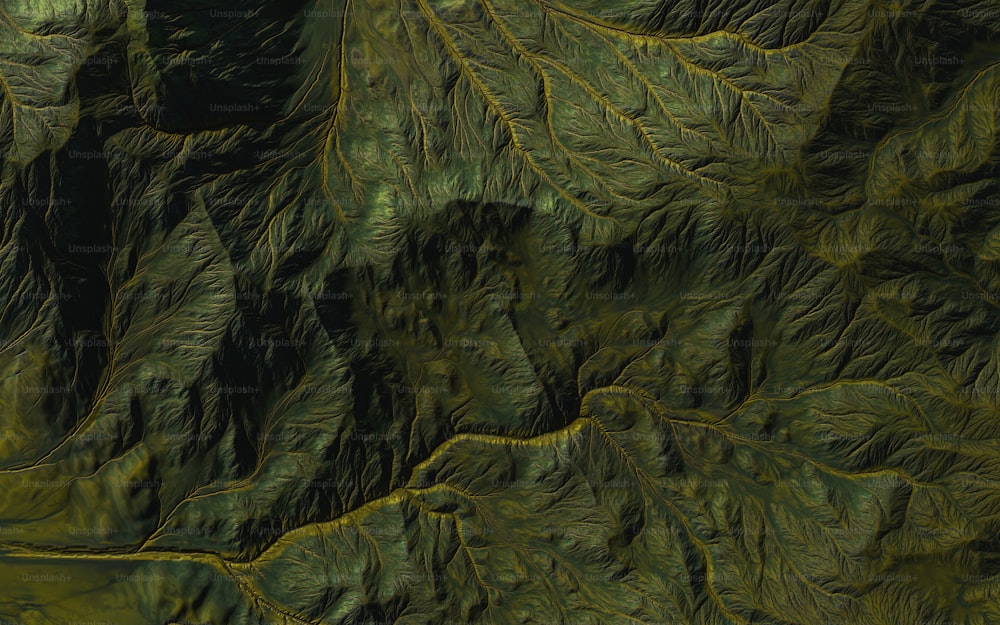 a satellite image of a green mountain range