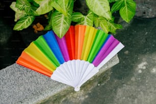 ein regenbogenfarbener Fächer, der neben einer Topfpflanze sitzt