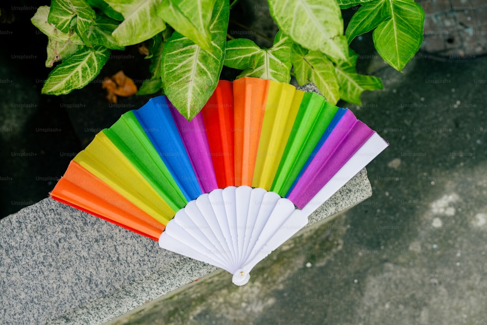 a rainbow colored fan sitting next to a potted plant