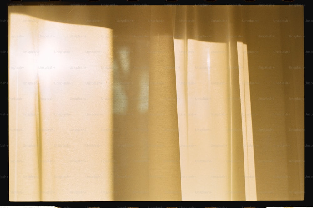 a cat sitting on a window sill in the sunlight