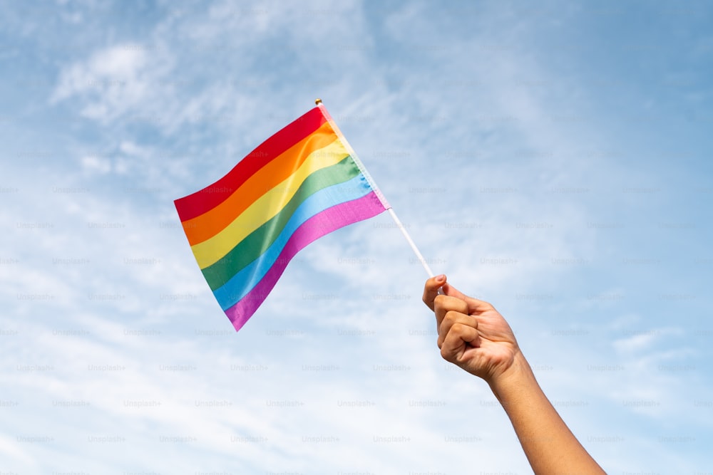 a person holding a rainbow flag in the air