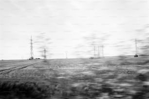 Uma foto em preto e branco de linhas de energia em um campo