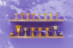 una hilera de estanterías llenas de trofeos uno encima del otro