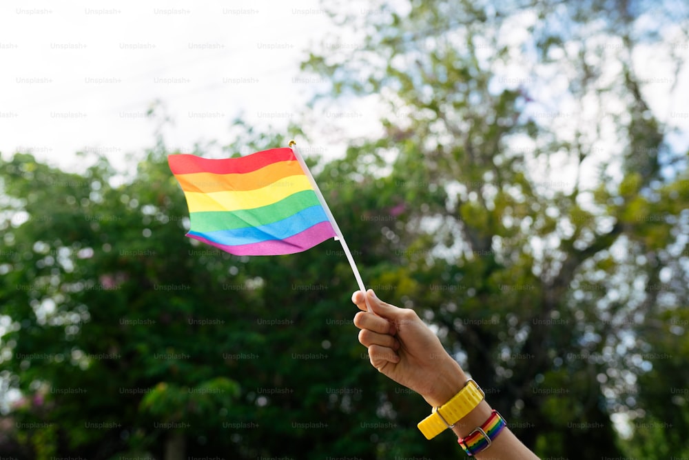 uma pessoa segurando uma bandeira do arco-íris na mão