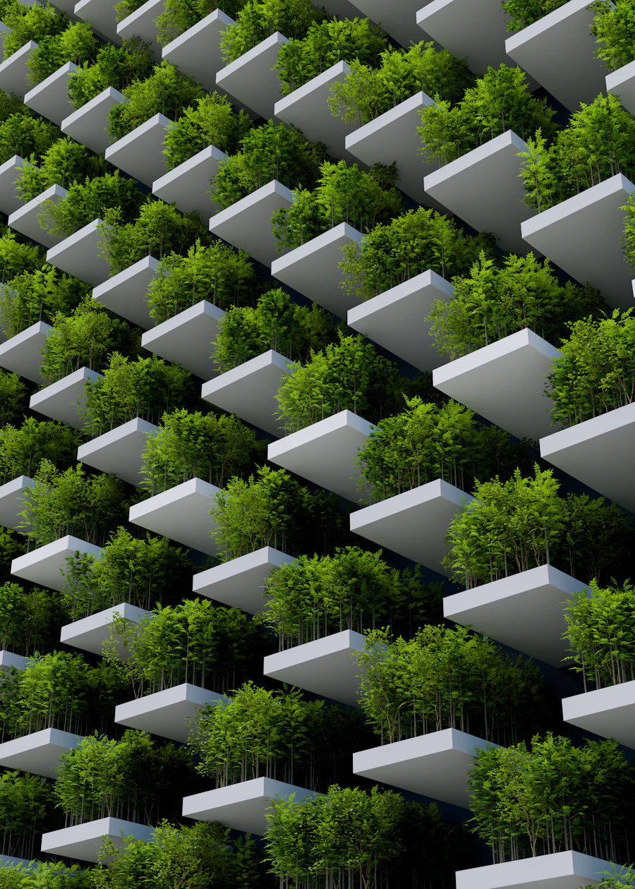Dense tree canopy from above