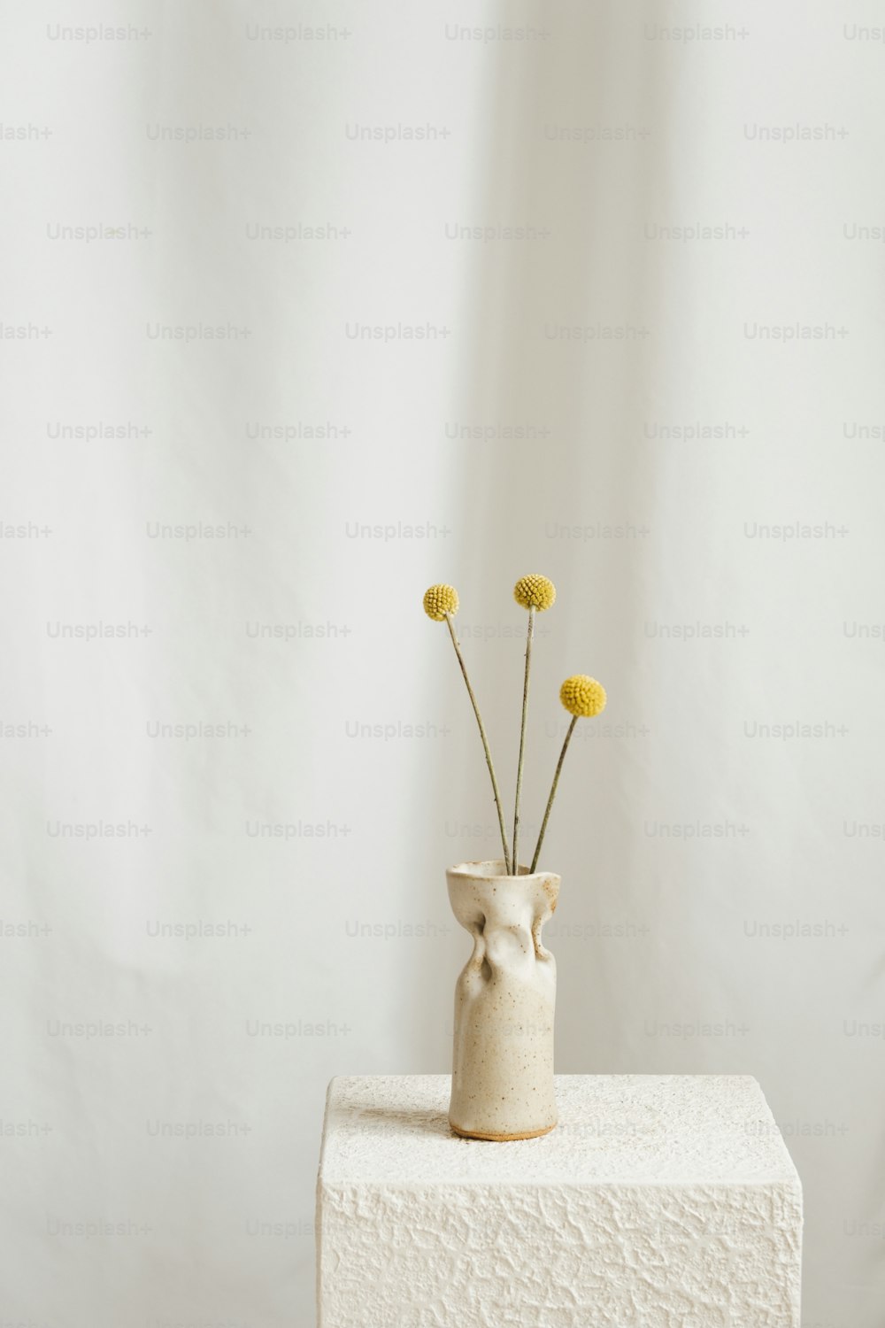 un vase blanc avec des fleurs jaunes à l’intérieur