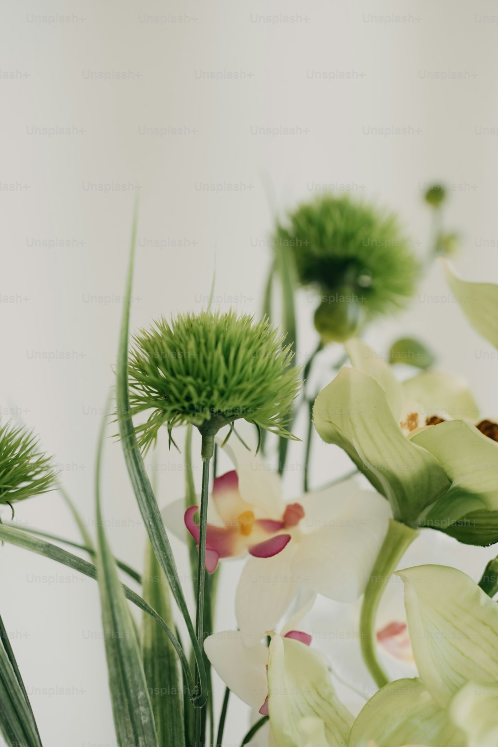 a vase filled with white and green flowers