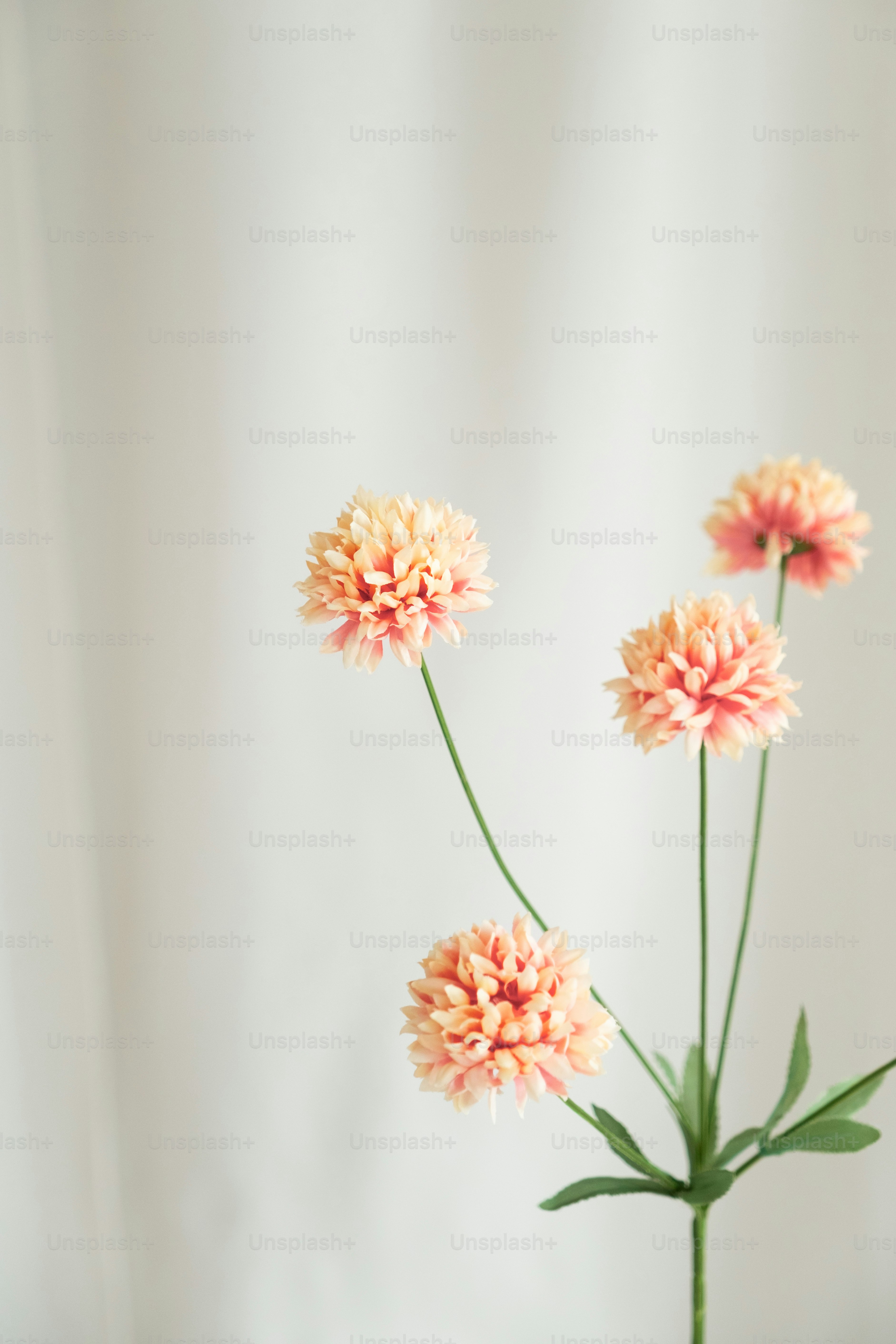 a vase filled with pink flowers on top of a table