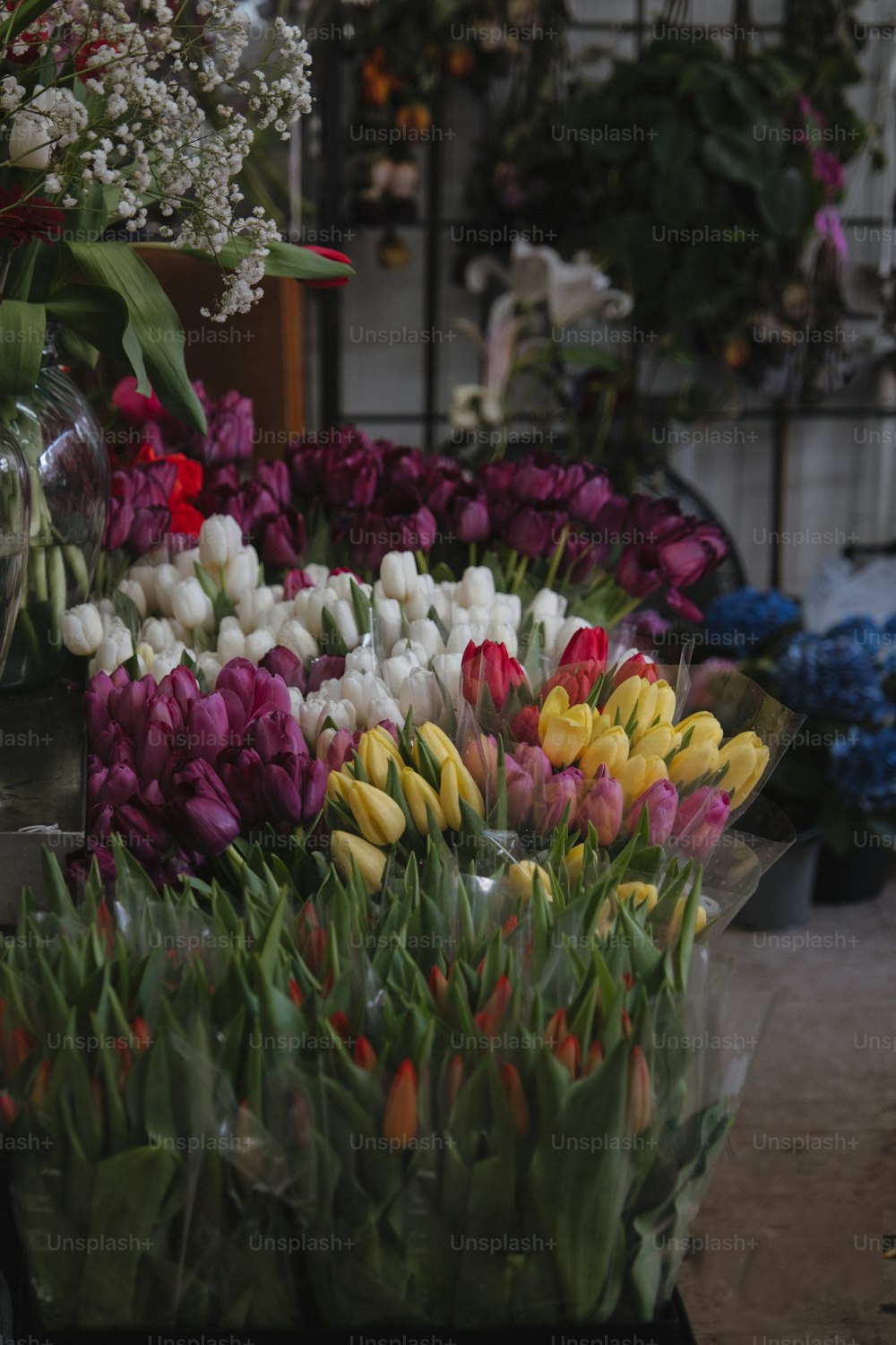 a bunch of tulips in a flower shop