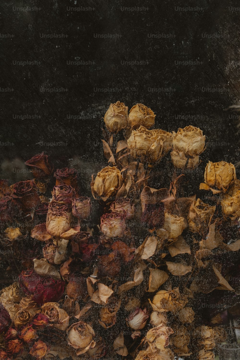 a bunch of dead flowers sitting on top of a table