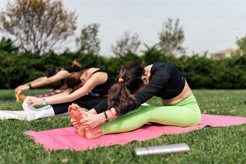 a group of women doing yoga in a park