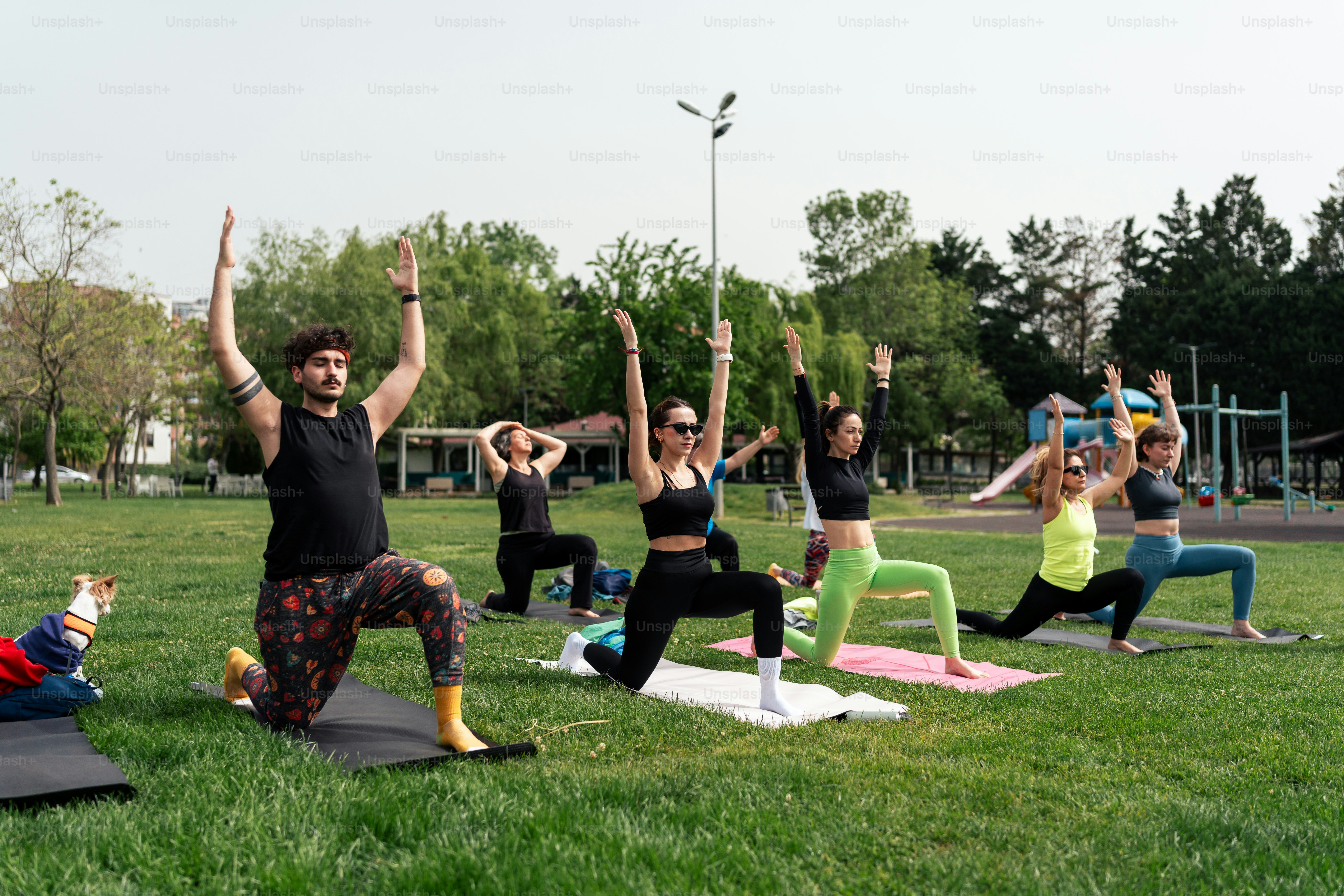 un groupe de personnes faisant du yoga dans un parc