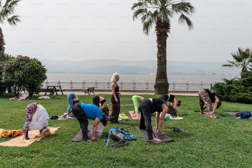 a group of people doing yoga in a park