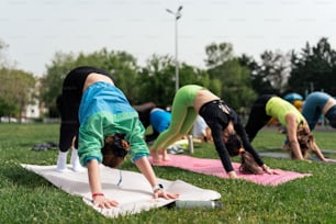 a group of people doing yoga in a park