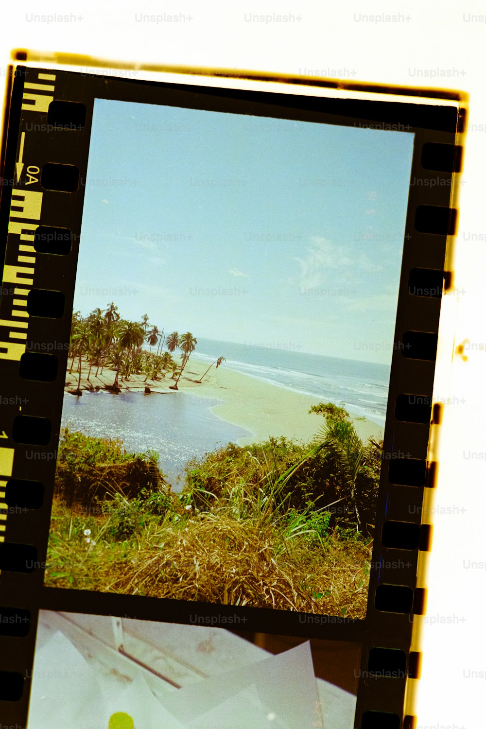 uma foto polaroid de uma praia e árvores