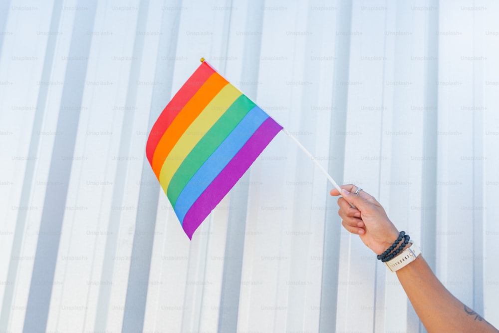a person holding a rainbow flag against a white wall
