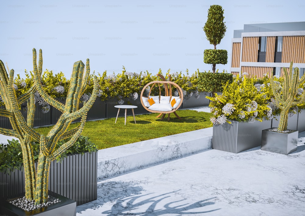 a small garden with a hanging chair and a cactus