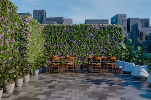 Una habitación llena de muchas plantas junto a edificios altos