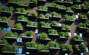 a large group of planters filled with green plants