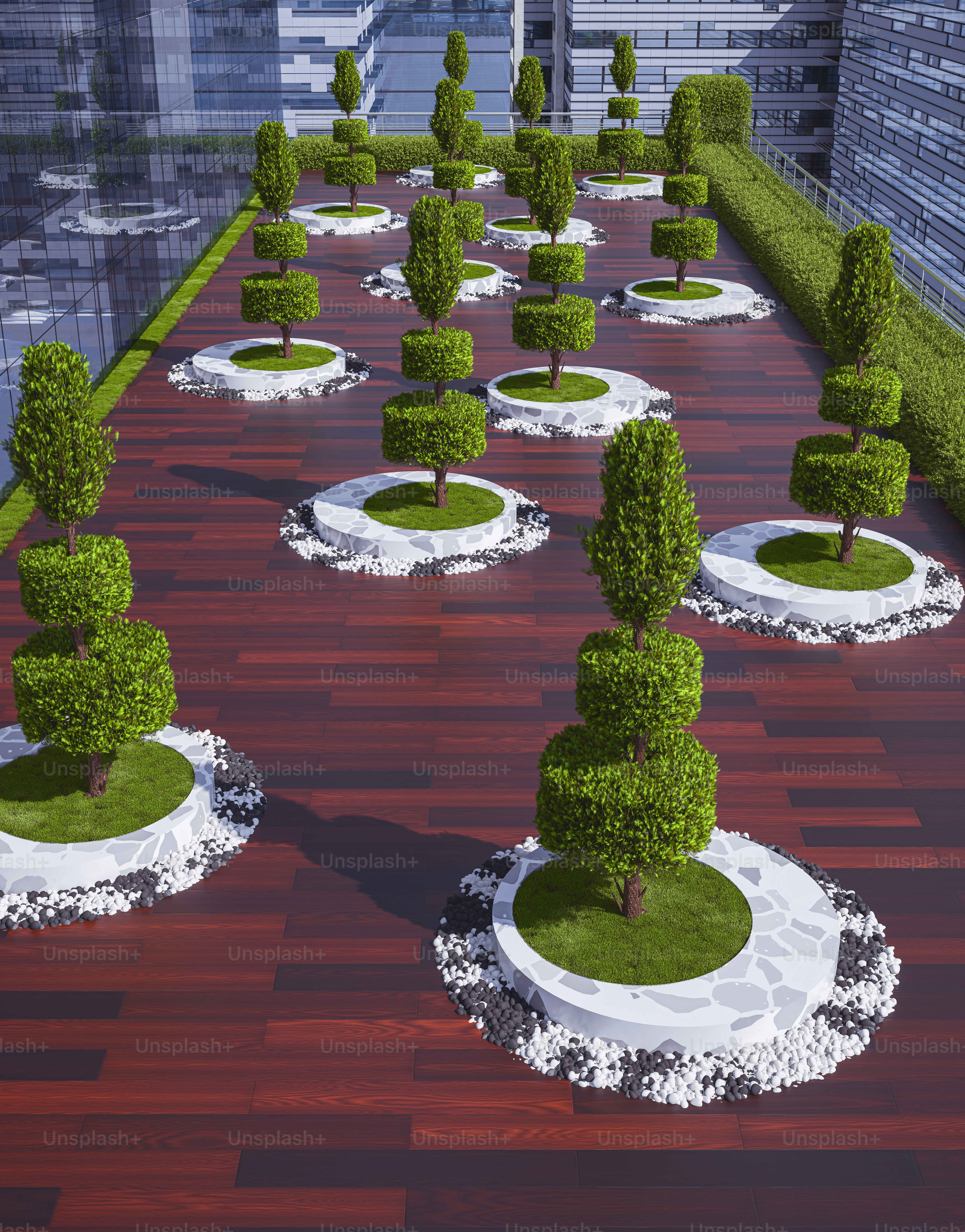 eine Gruppe von Bäumen und Sträuchern in einem Innenhof