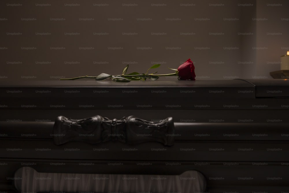 a single rose sitting on top of a casket