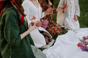 a group of women sitting on top of a lush green field