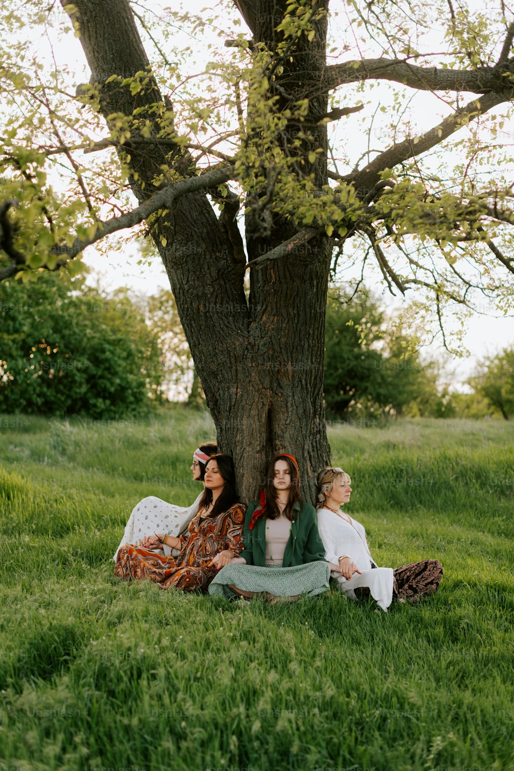 three women sitting under a tree in the grass