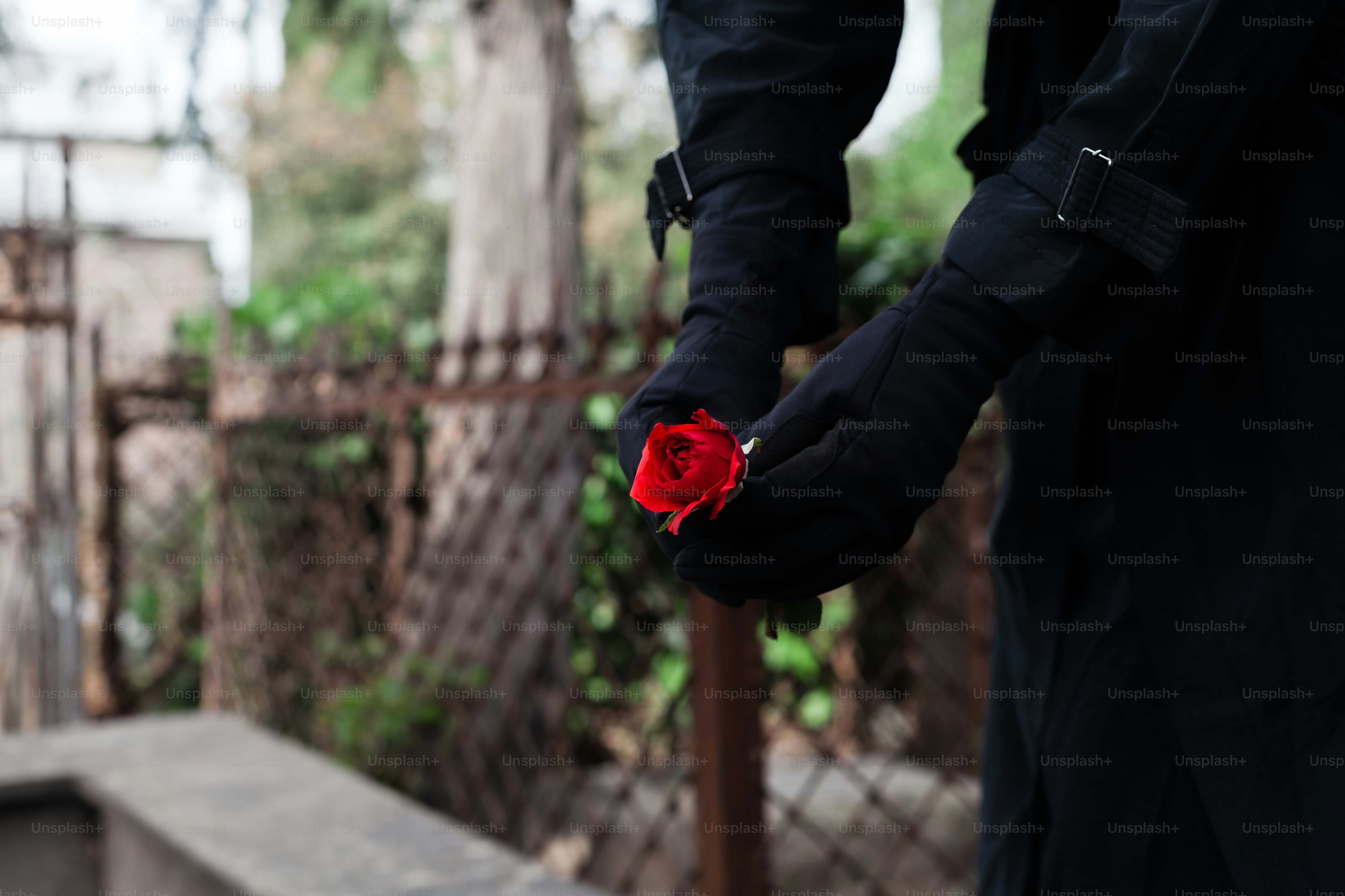 a person holding a red rose in their hand