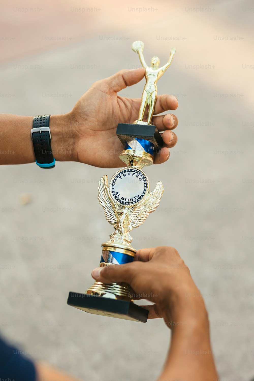 a person holding a trophy in their hands