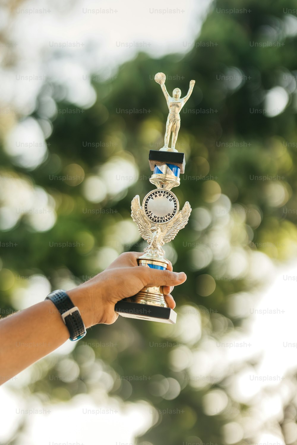 a person holding a trophy in their hand