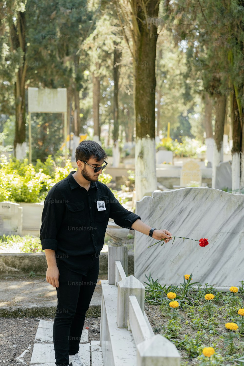 a man holding a rose in a cemetery