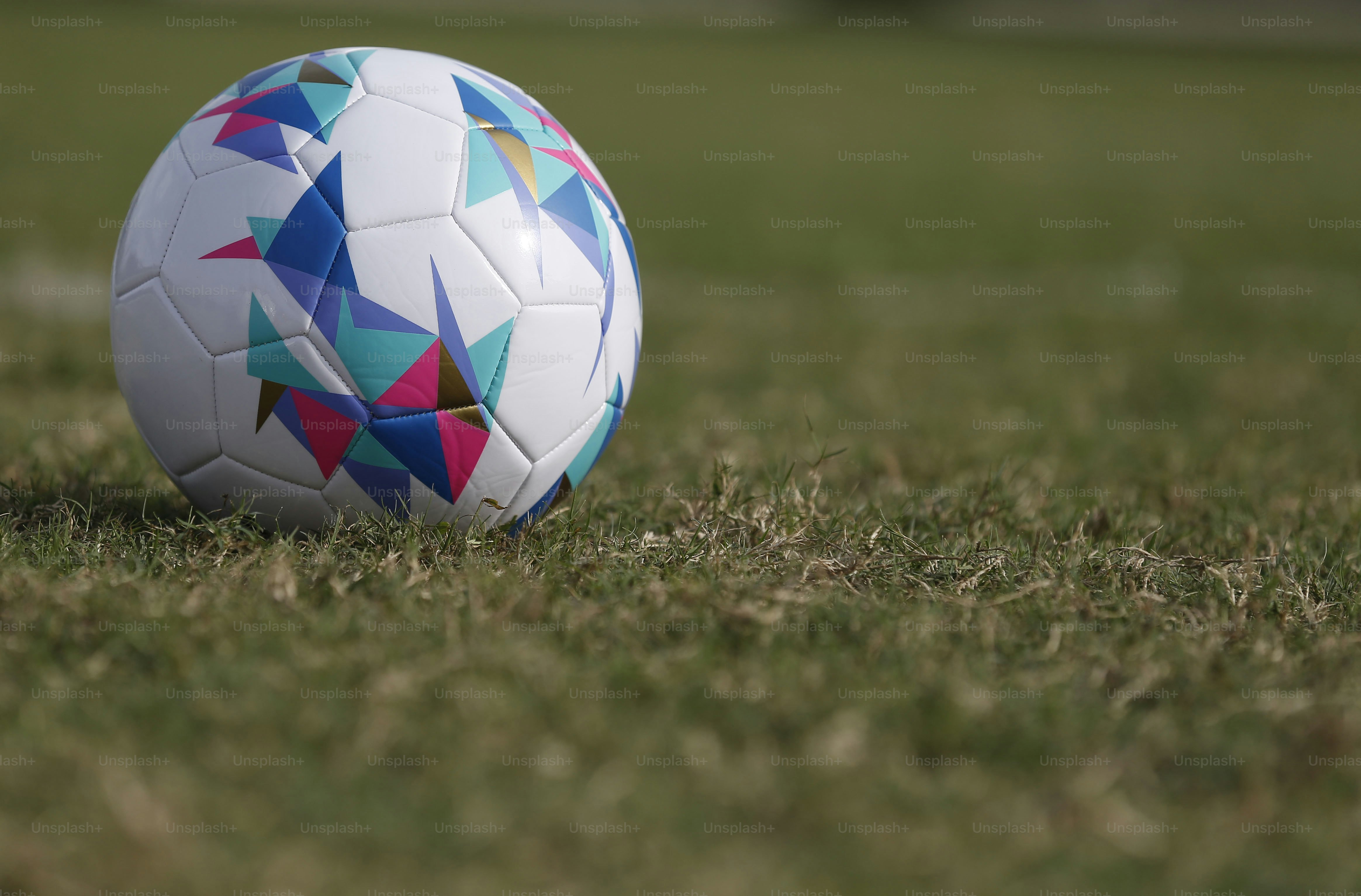 緑豊かな野原の上に置かれたサッカーボール