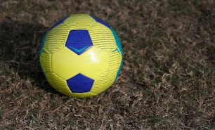 a yellow and blue soccer ball sitting in the grass