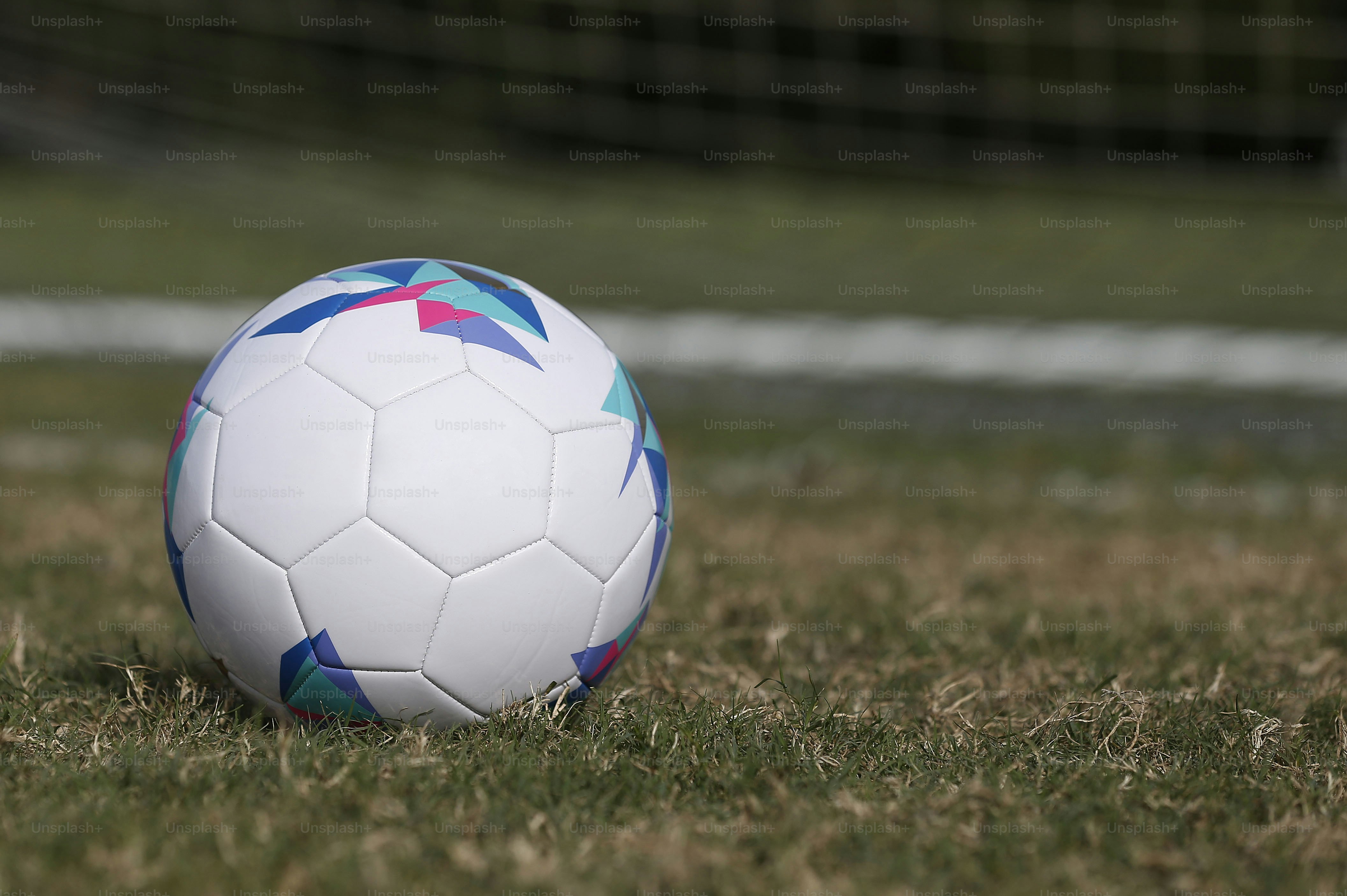 緑豊かな野原の上に置かれたサッカーボール
