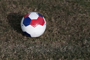 a soccer ball sitting on top of a lush green field