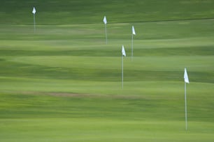 a green golf course with several white flags