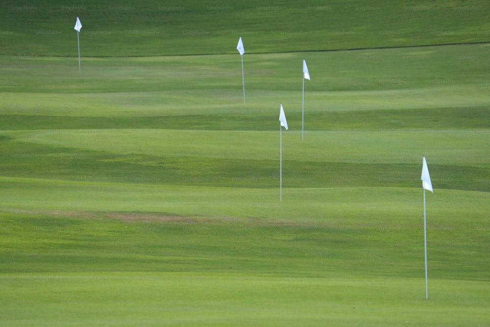 a green golf course with several white flags