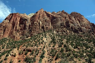 Une très haute montagne avec beaucoup d’arbres dessus