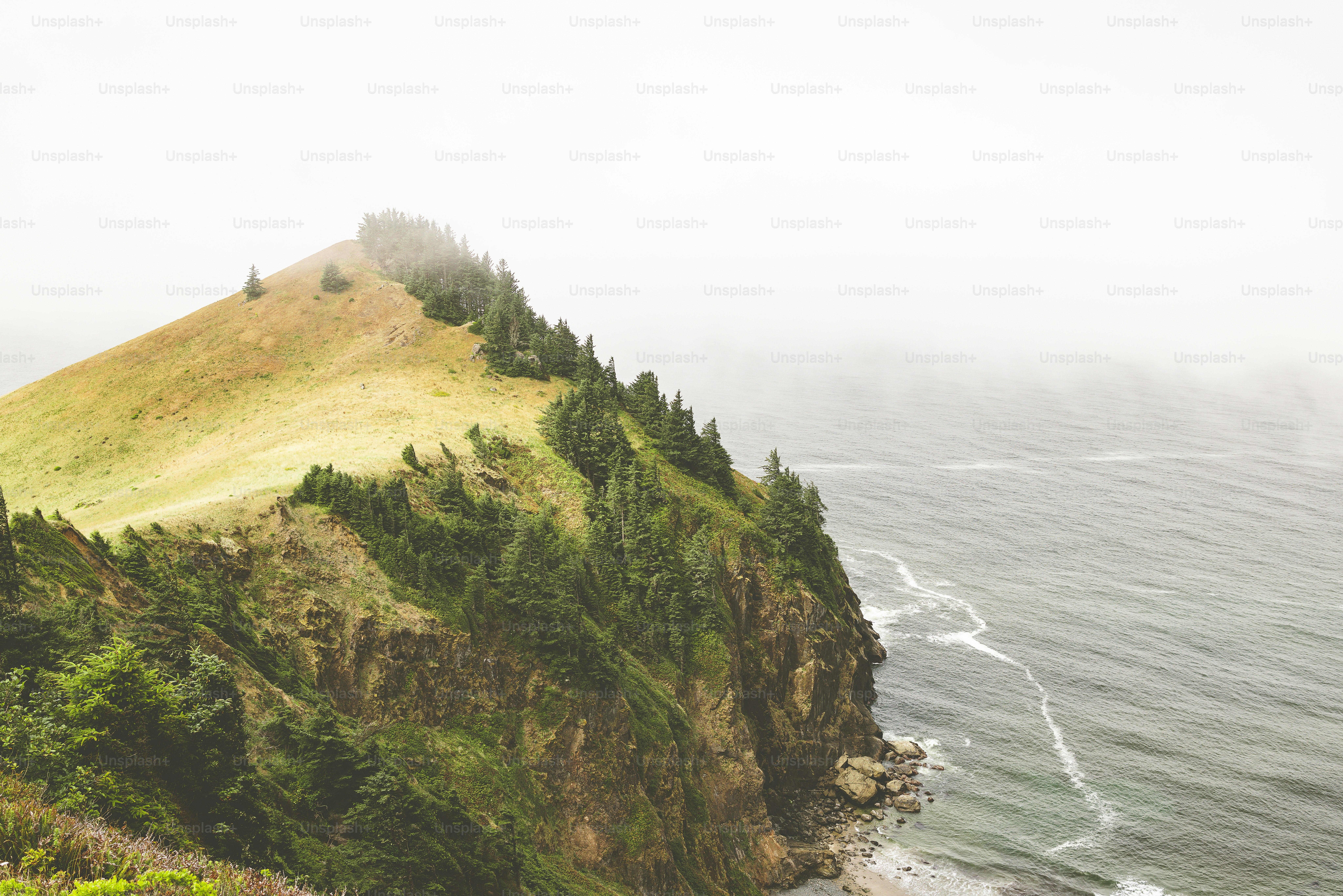 a large hill with trees on top of it