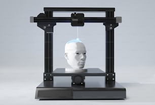 a white mannequin head in a black frame