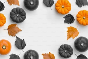 Ein zeitgenössischer Herbsternte- und Halloween-Rahmenhintergrund mit Kürbissen und Blättern.